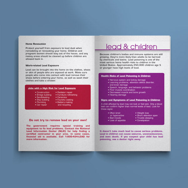 Keys to a Healthy Home: Lead - English