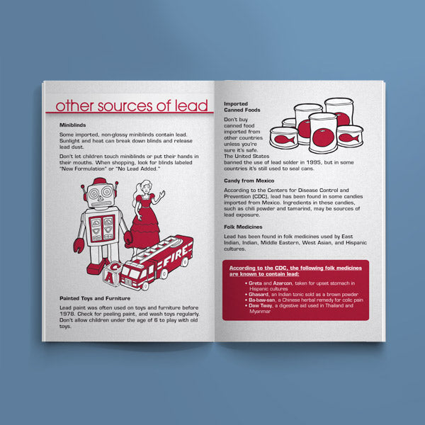Keys to a Healthy Home: Lead - English