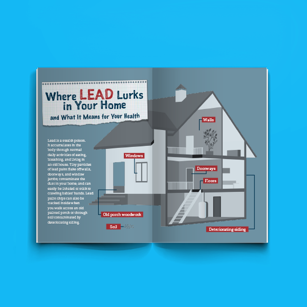 Lead Paint in Your Home - English